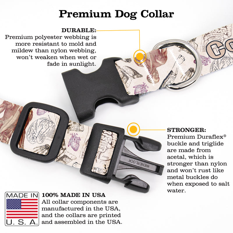 Buttonsmith Anatomy Custom Dog Collar - Made in USA