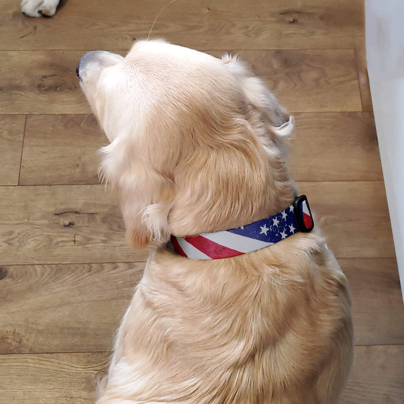 Flags Old Glory Dog Collar - Made in USA