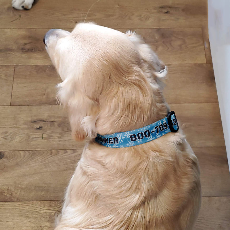 Buttonsmith Snowflake Custom Dog Collar - Made in USA