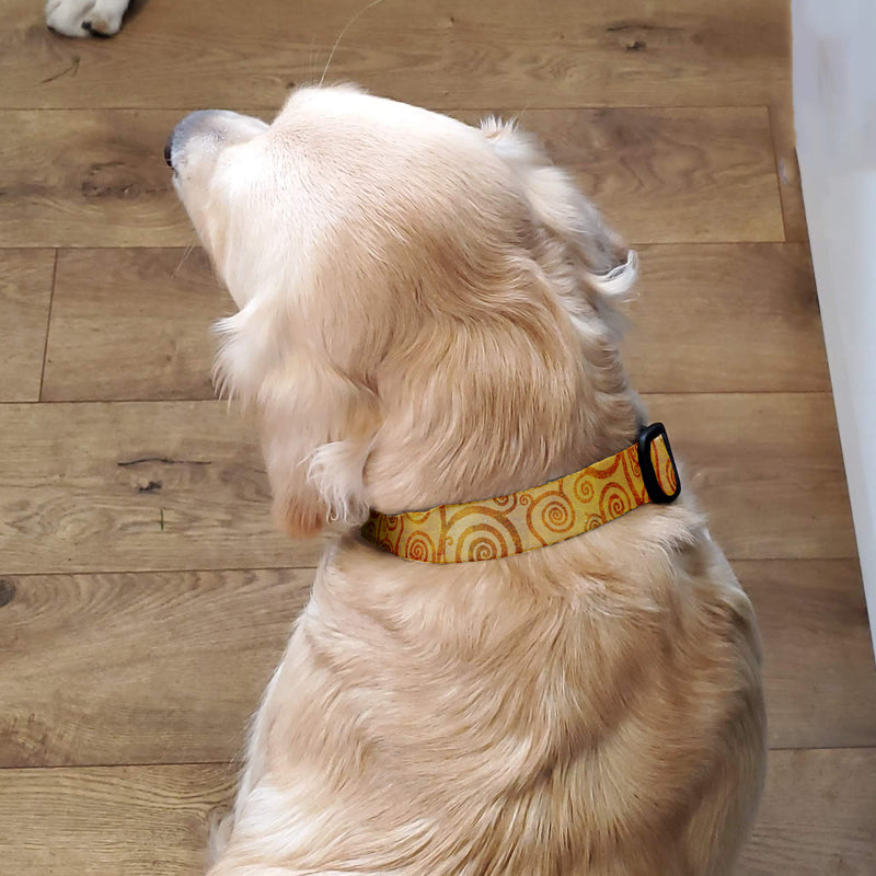 Swirls Citrine Dog Collar - Made in USA