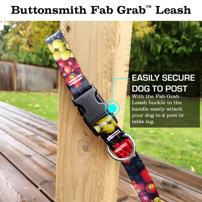 Berry Blast Fab Grab Leash - Made in USA