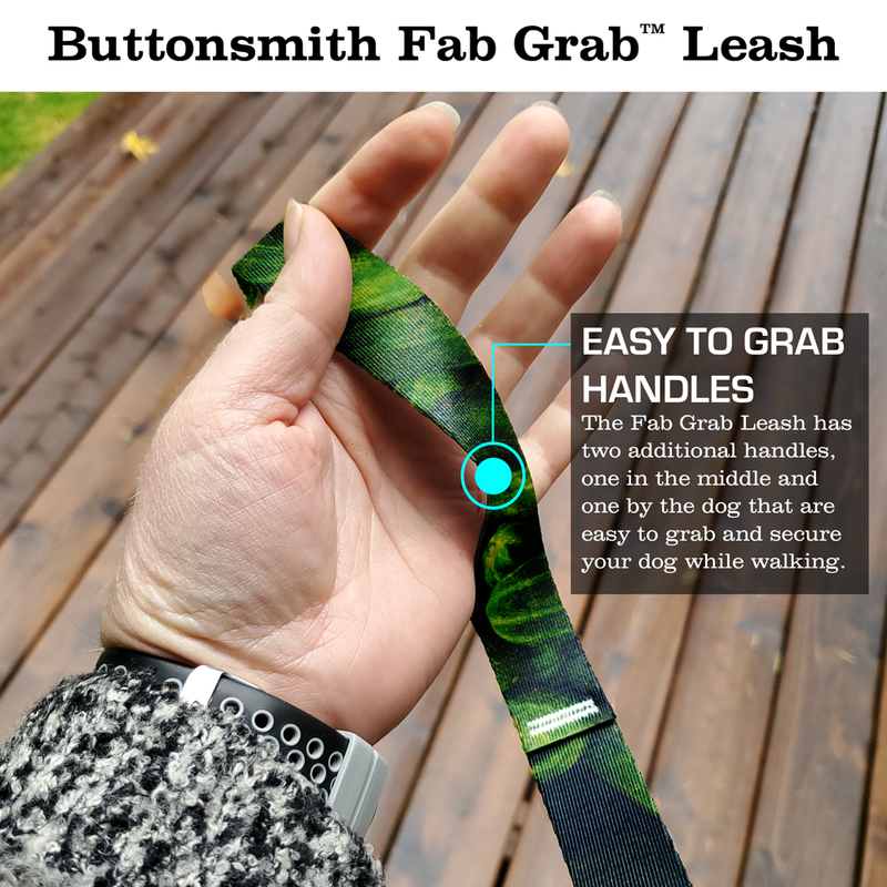 Pickles Fab Grab Leash - Made in USA
