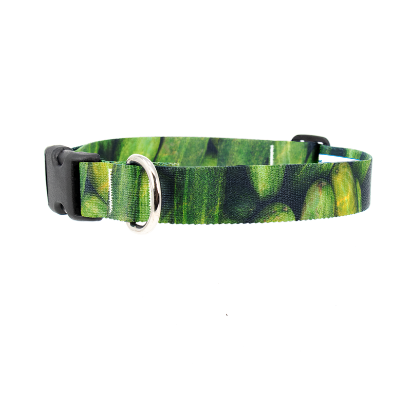 Pickles Dog Collar - Made in USA