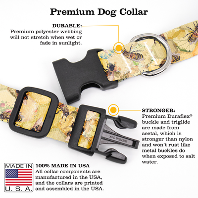 Taste of Honey Dog Collar - Made in USA