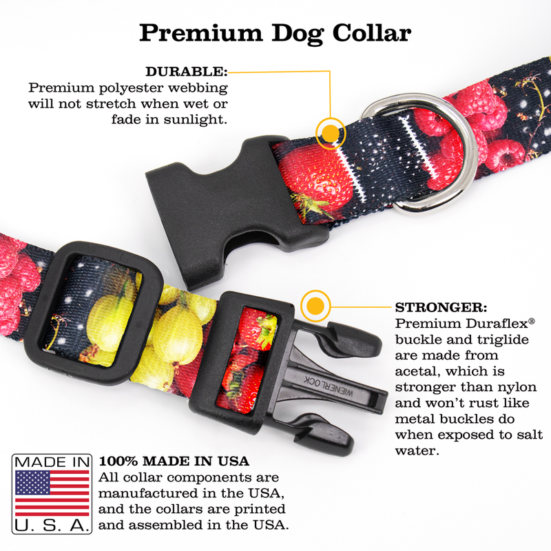 Berry Blast Dog Collar - Made in USA