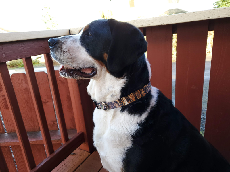 Cedar Bark Dog Collar - Made in USA