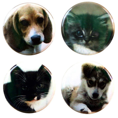 Buttonsmith® Puppies & Kittens Tinker Top® Set Made in USA for use with Tinker Reel® Badge Reels - Buttonsmith Inc.