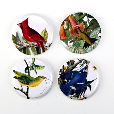 Buttonsmith® 1.25" Audubon Birds Refrigerator Magnets - Set of 4 - Buttonsmith Inc.