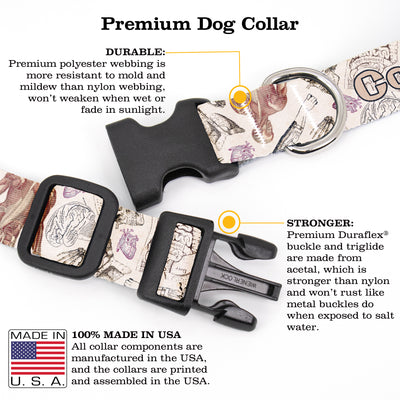 Buttonsmith Anatomy Custom Dog Collar - Made in USA