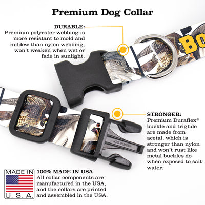 Buttonsmith Audubon Raptors Custom Dog Collar - Made in USA