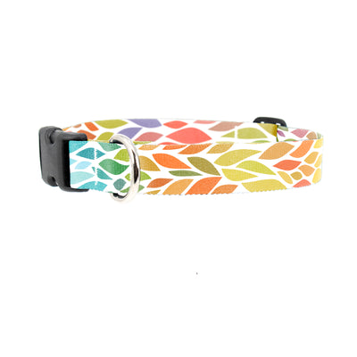 Color Leaves Dog Collar - Made in USA