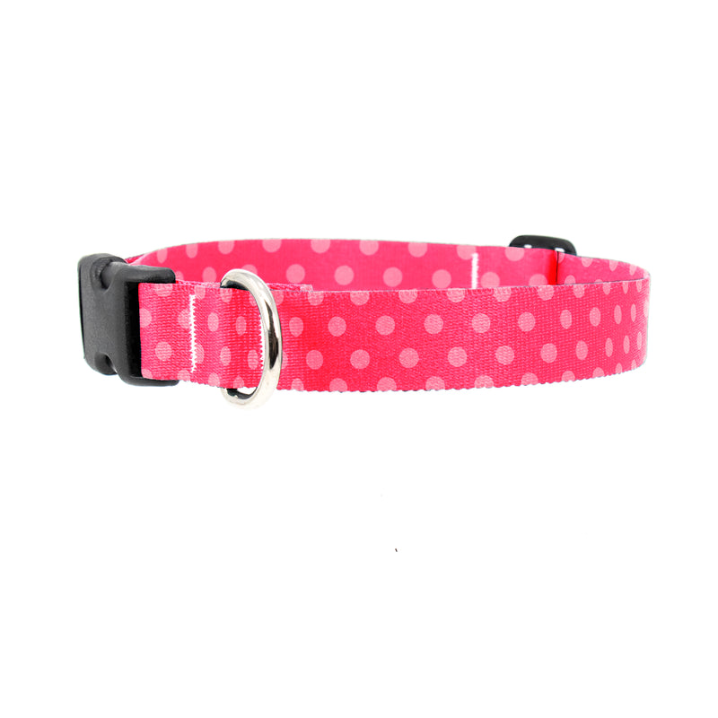 Pink Dots Dog Collar - Made in USA