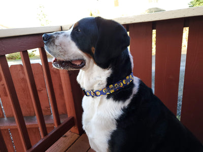 Buttonsmith Emoji Blue Custom Dog Collar - Made in USA