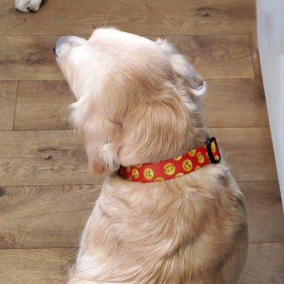 Emoji Orange Dog Collar - Made in USA