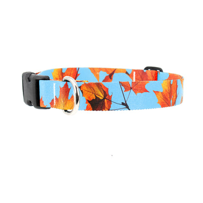 Fall Leaves Dog Collar - Made in USA