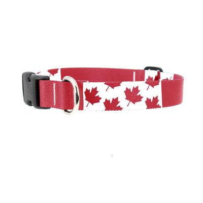 Flags O Canada Dog Collar - Made in USA