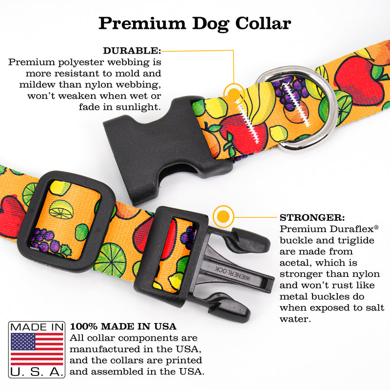 Fruit Frenzy Dog Collar - Made in USA