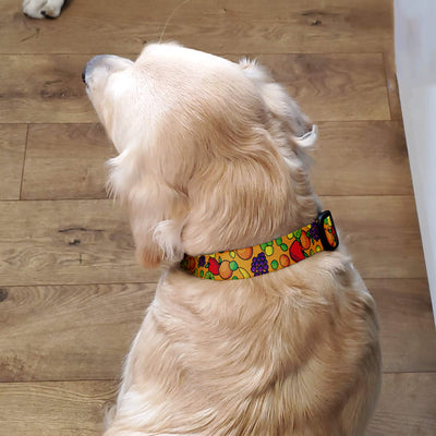 Fruit Frenzy Dog Collar - Made in USA