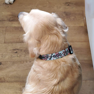 Custom Personalized Dog Collars - Art Designs - Made in USA
