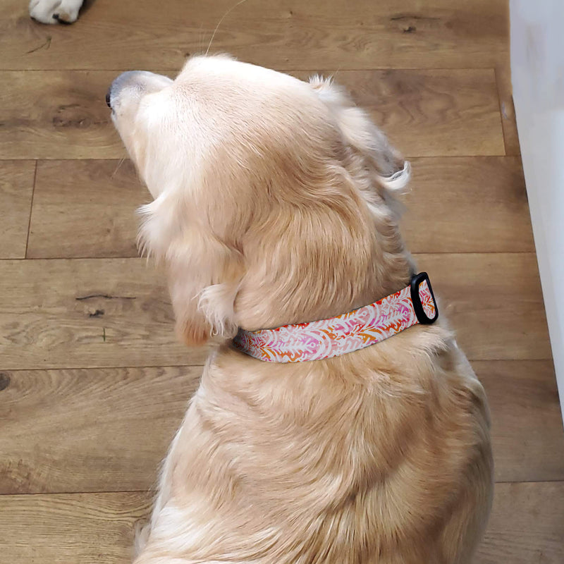 Ikat Rose Dog Collar - Made in USA