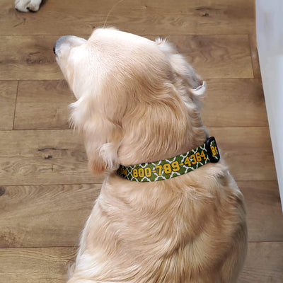 Buttonsmith Lattice Custom Dog Collar - Made in USA