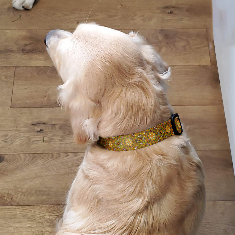 Moroccan Tiles Yellow Dog Collar - Made in USA