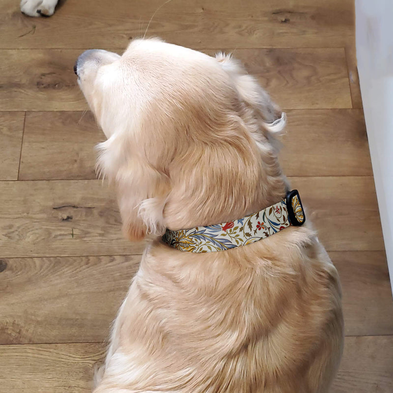 Morris Flora Dog Collar - Made in USA
