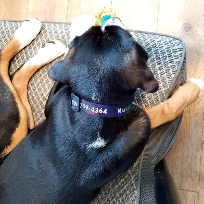 Buttonsmith Nebula Custom Dog Collar - Made in USA