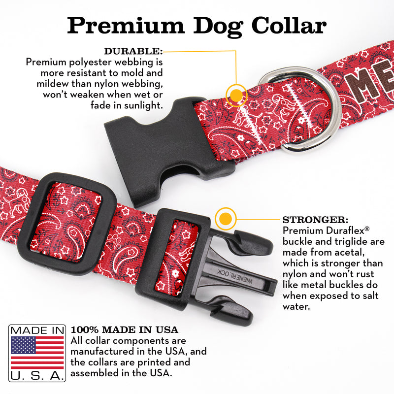 Buttonsmith Pupaisley Custom Dog Collar - Made in USA