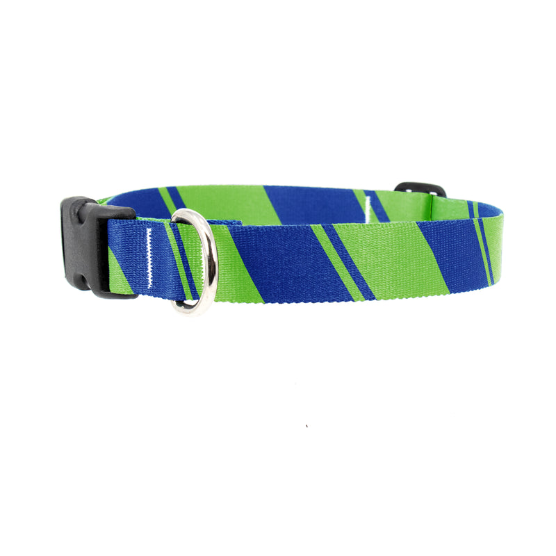 Sporty Blue Green Dog Collar - Made in USA