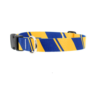 Sporty Blue Yellow Dog Collar - Made in USA