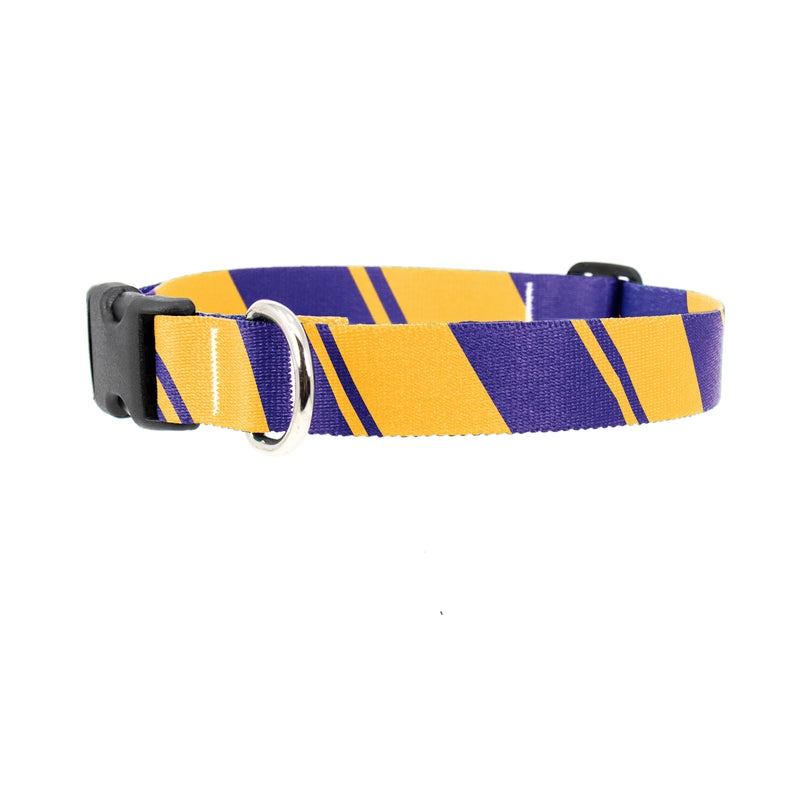 Sporty Purple Gold Dog Collar - Made in USA