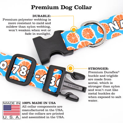 Buttonsmith Tangerine Dreams Custom Dog Collar - Made in USA