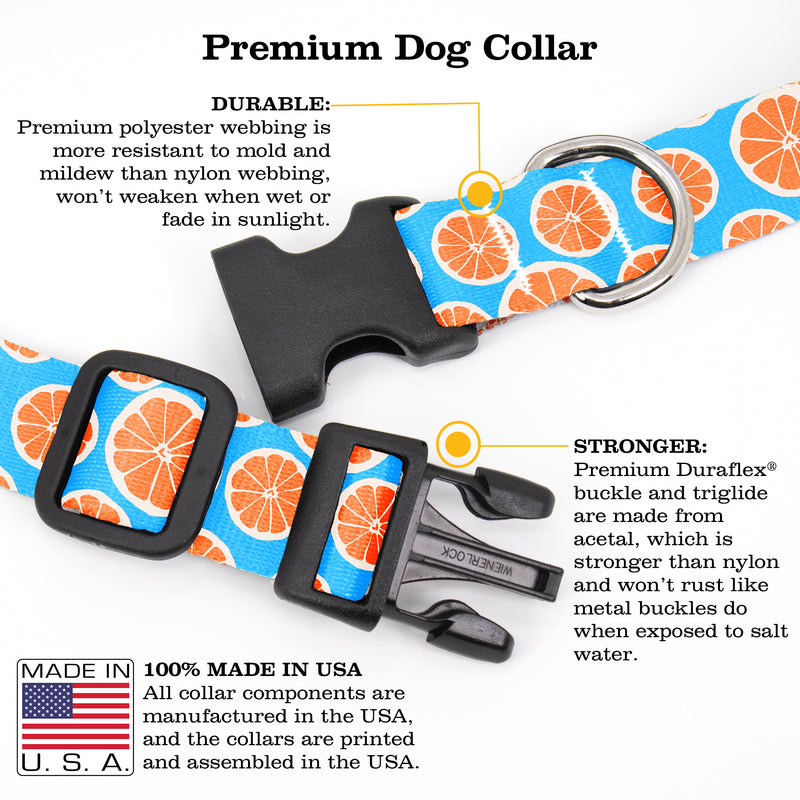 Tangerine Dreams Dog Collar - Made in USA