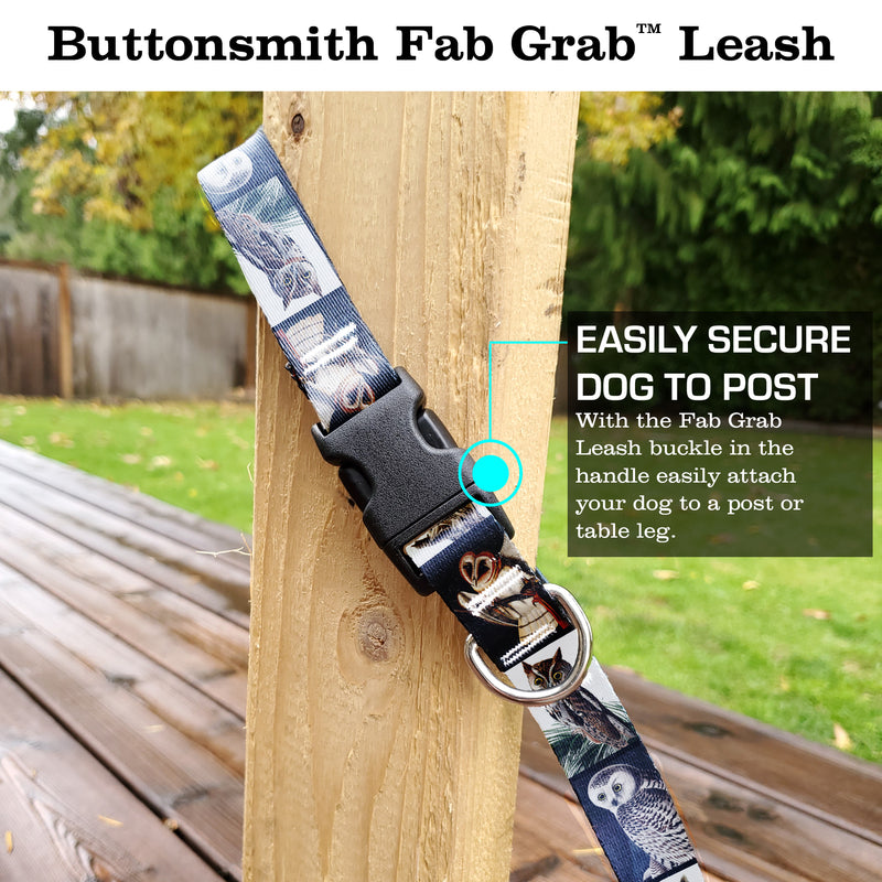 Audubon Owls Fab Grabáµ€á´¹ Leash - Made in USA - 3 Handles - Heavy Duty Quick Clasp - Buttonsmith Inc.