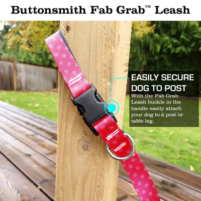 Pink Dots Fab Grab Leash - Made in USA