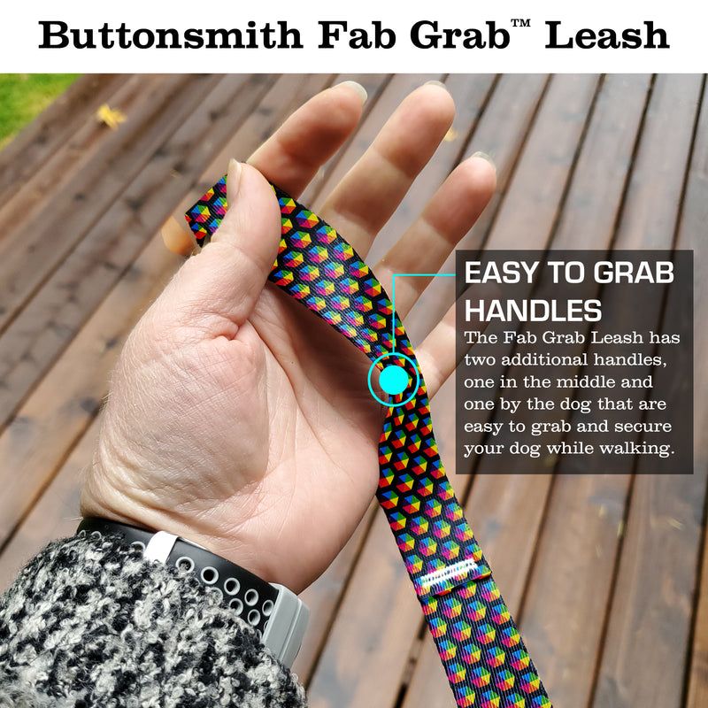 Rainbow Hexes Fab Grab Leash - Made in USA