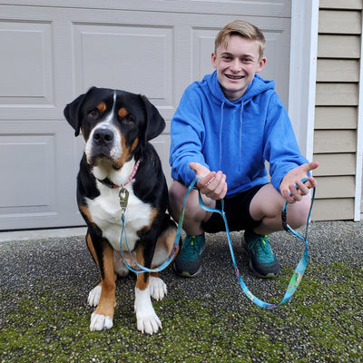 boy with a cute swiss mountain dog wearing a beautiful three handled dog leash and collar