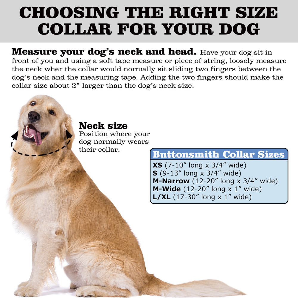 How to measure your dog's neck