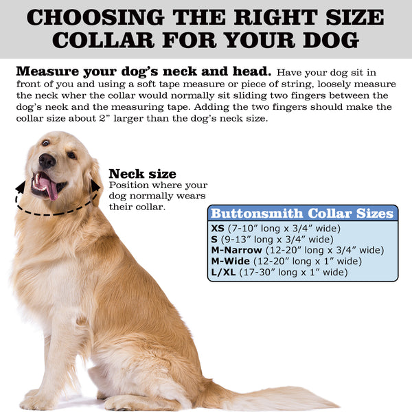 How to measure your dog's neck
