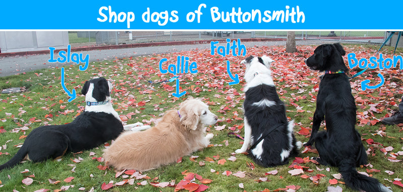 Custom Personalized Dog Collars - Flag Designs - Made in USA - Buttonsmith Inc.