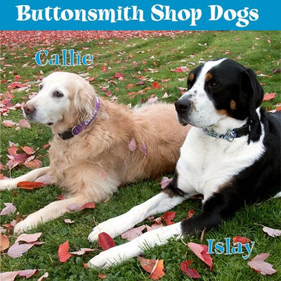 Buttonsmith Blue Stripes Dog Collar - Made in USA - Buttonsmith Inc.