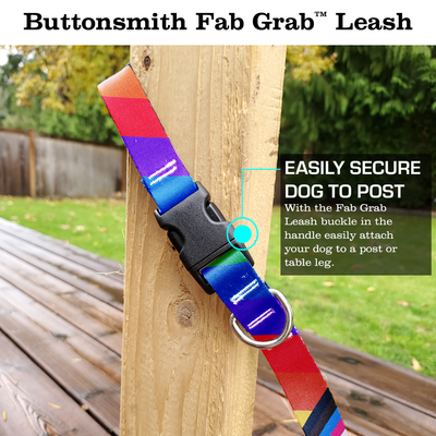 Pride Rainbow Plus Fab Grab Leash - Made in USA