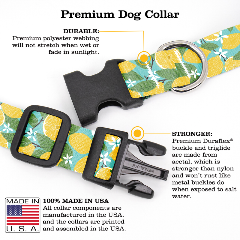 Lemon Grove Dog Collar - Made in USA