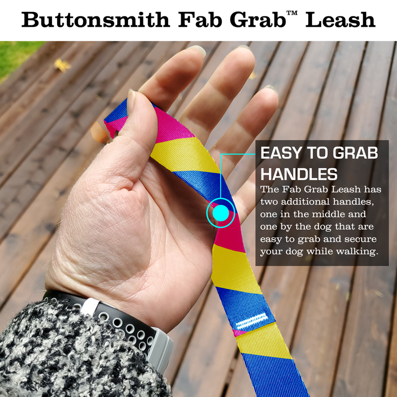 Pride Pansexual Fab Grab Leash - Made in USA