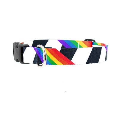 Ally Pride Dog Collar - Made in USA