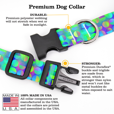 Intensity Circular Dog Collar - Made in USA