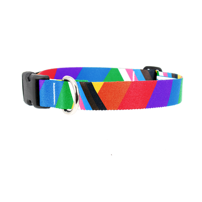 Rainbow Plus Pride Dog Collar - Made in USA