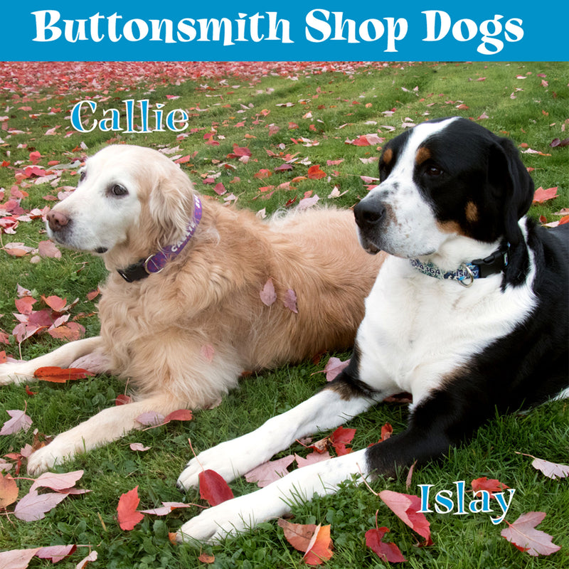 ButtonsmithÂ® Christmas Ornaments Dog Collar - For Good Dogsâ„¢ - Made in the USA - Buttonsmith Inc.