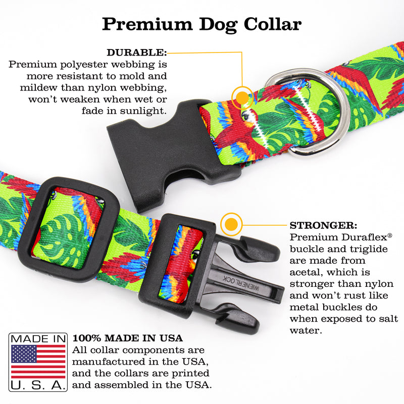 Buttonsmith Scarlet Macaw Dog Collar - Made in the USA - Buttonsmith Inc.